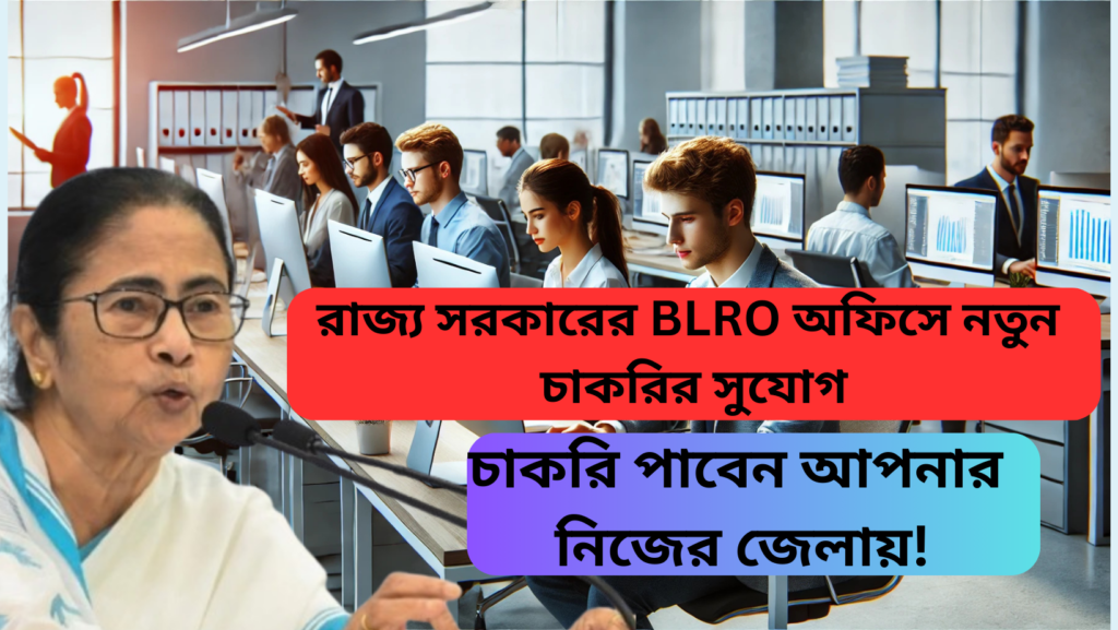 blro data entry job